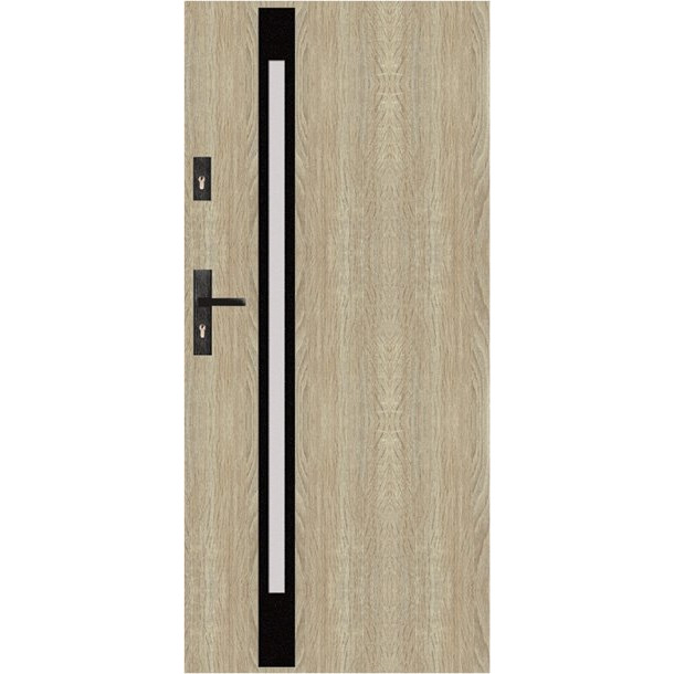 g s61 modern entrance door