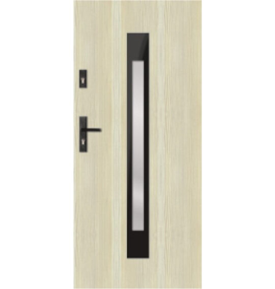 g s81 modern glazed door