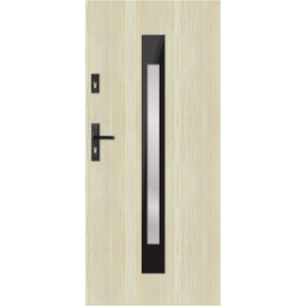 g s81 modern glazed door