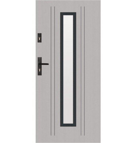 t49 s34 modern glazed door