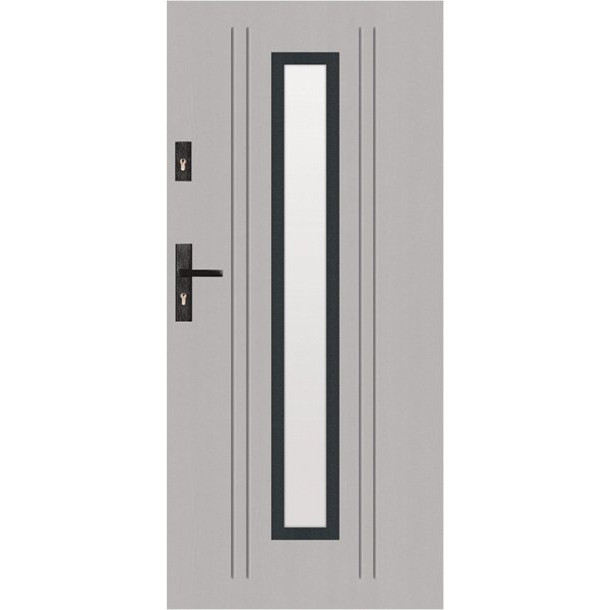 t49 s34 modern glazed door
