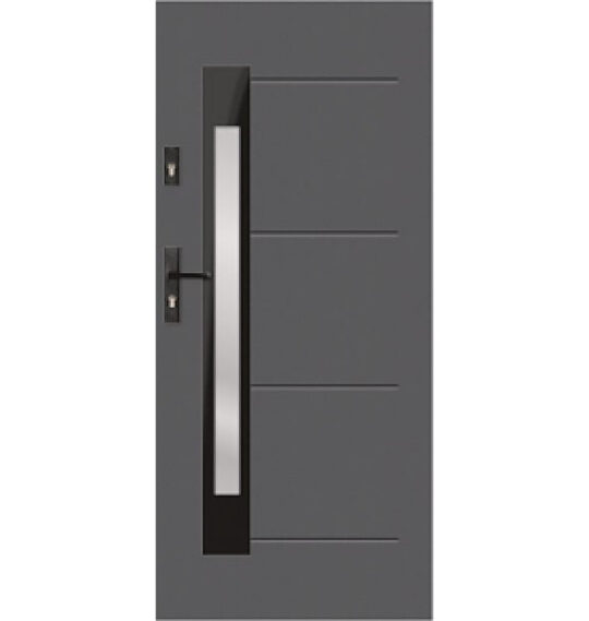 t55 s81 modern glazed door