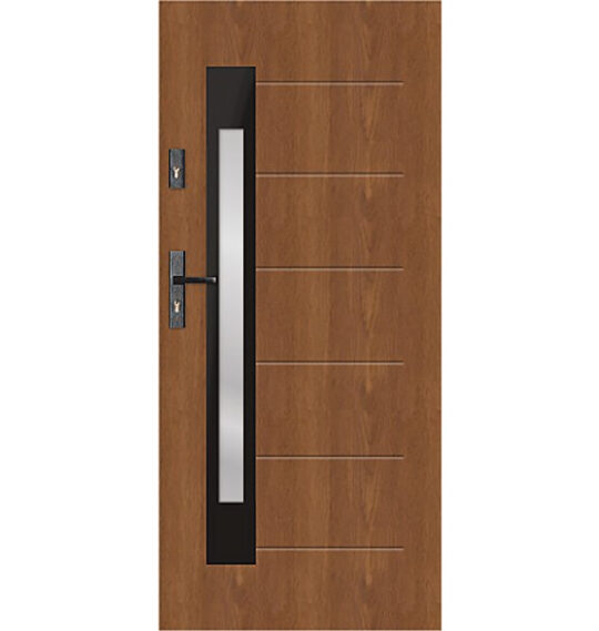 t60 s81 modern glazed door