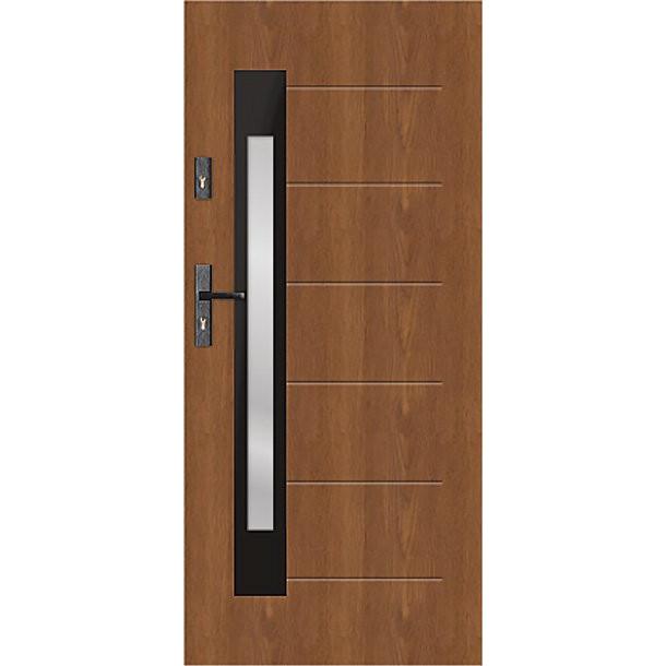 t60 s81 modern glazed door