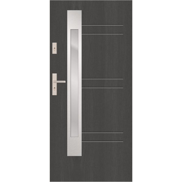 t51 s33 modern glazed door