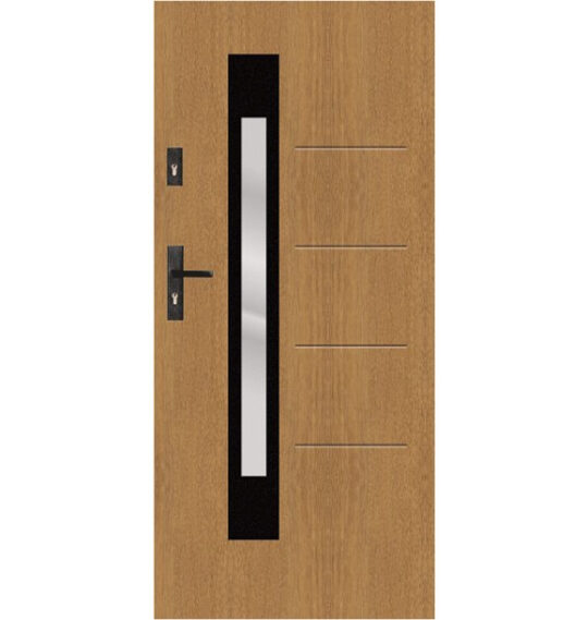 t62 s53 modern entrance door
