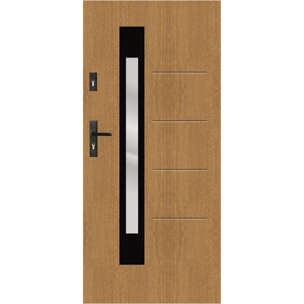 t62 s53 modern entrance door