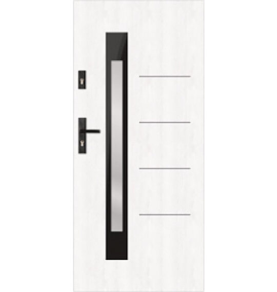 t62 s81 modern glazed door