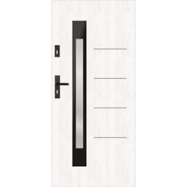 t62 s81 modern glazed door