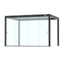 Frameless Glazing